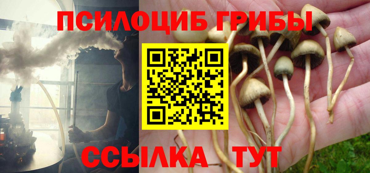 Псилоцибиновые грибы Cubensis Урай