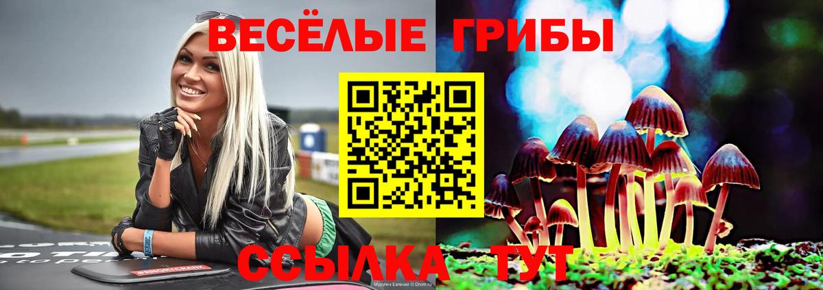 Урай  Псилоцибиновые грибы ЛСД  Вход с VPN  Псилоцибиновые грибы Cubensis 